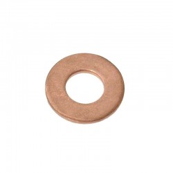 Injector Seal Copper Washer