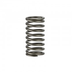 QC495 QC498 Inner Valve Spring