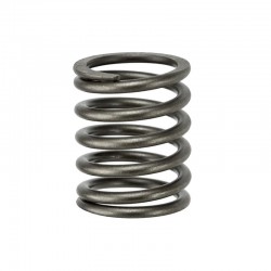 QC495 QC498 Outer Valve Spring