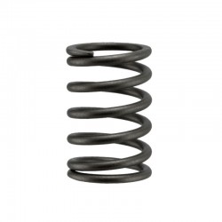 NB485 Outer Valve Spring