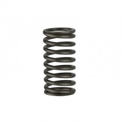 NB485 Inner Valve Spring