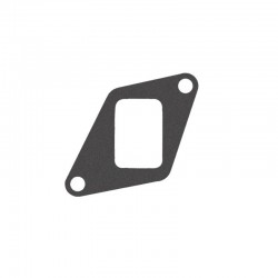 QC Intake manifold gasket