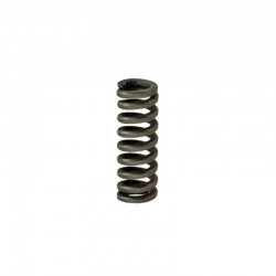 FT354 Detent Spring
