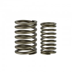 S-ZS Valve spring inner/outer